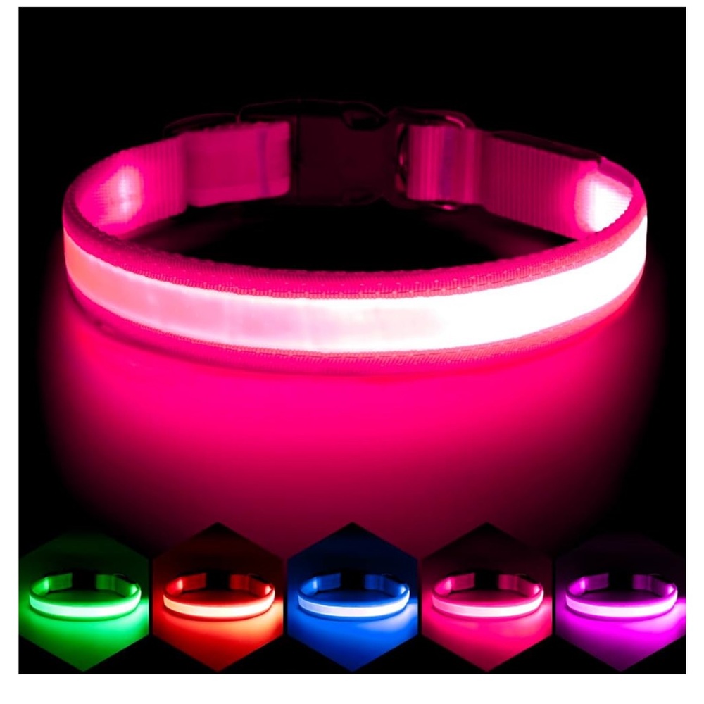 Vizpet LED Light-Up Pet Collar Small